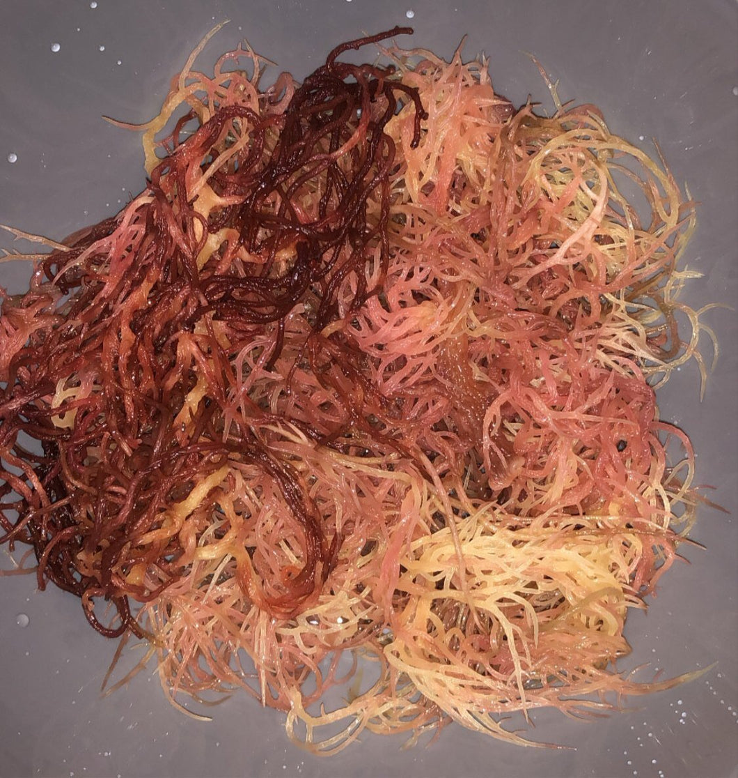 Raw St. Lucian Sea Moss (2oz)